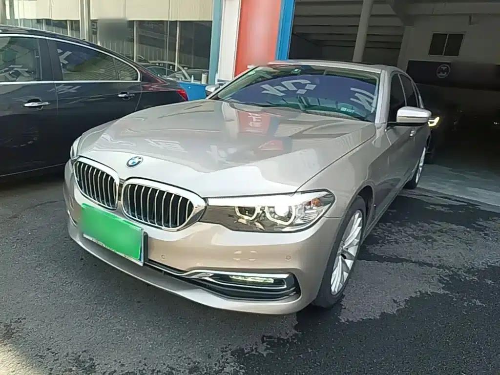 2019 BMW 5 Series 525Li Luxury Package — миниатюра 2