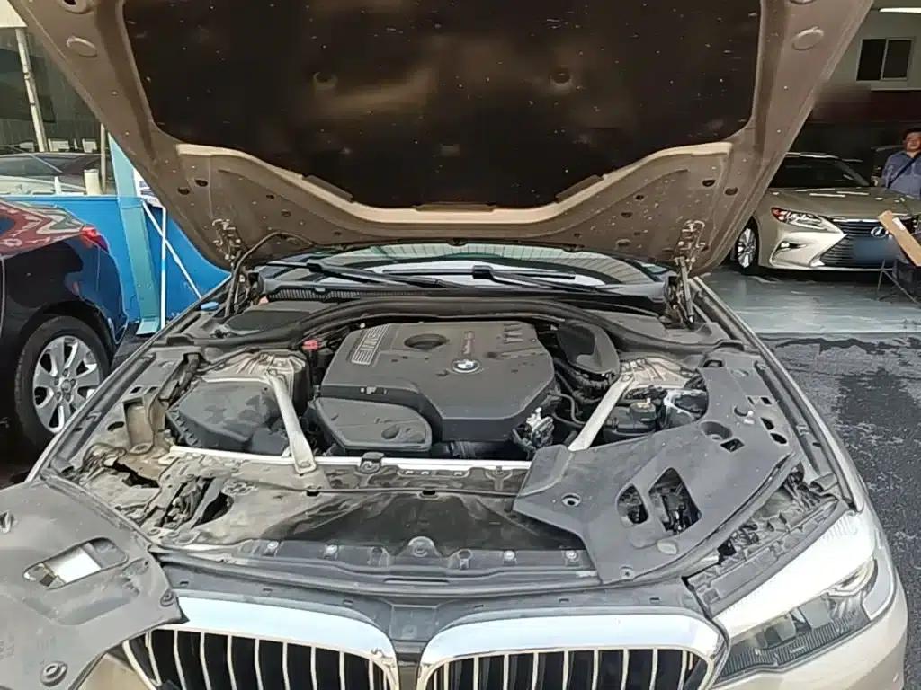 2019 BMW 5 Series 525Li Luxury Package — миниатюра 20