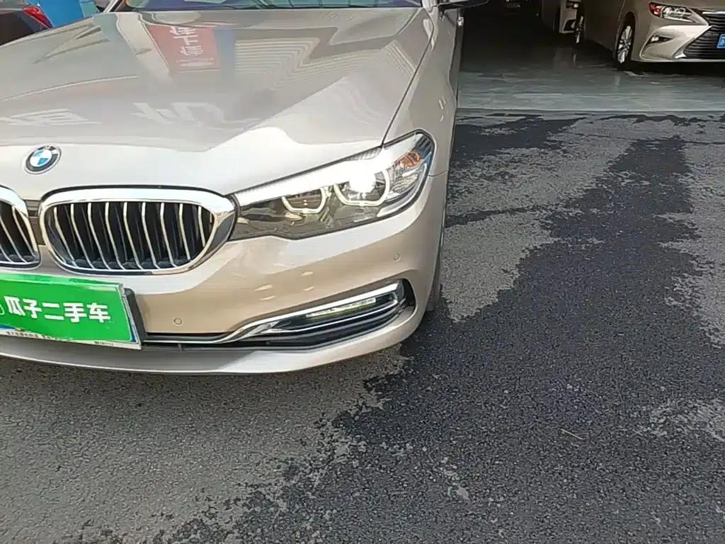 2019 BMW 5 Series 525Li Luxury Package — миниатюра 24