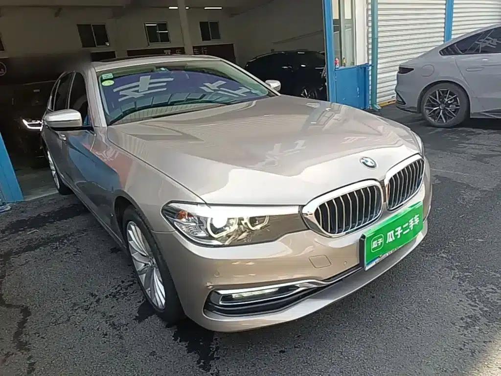 2019 BMW 5 Series 525Li Luxury Package — миниатюра 4