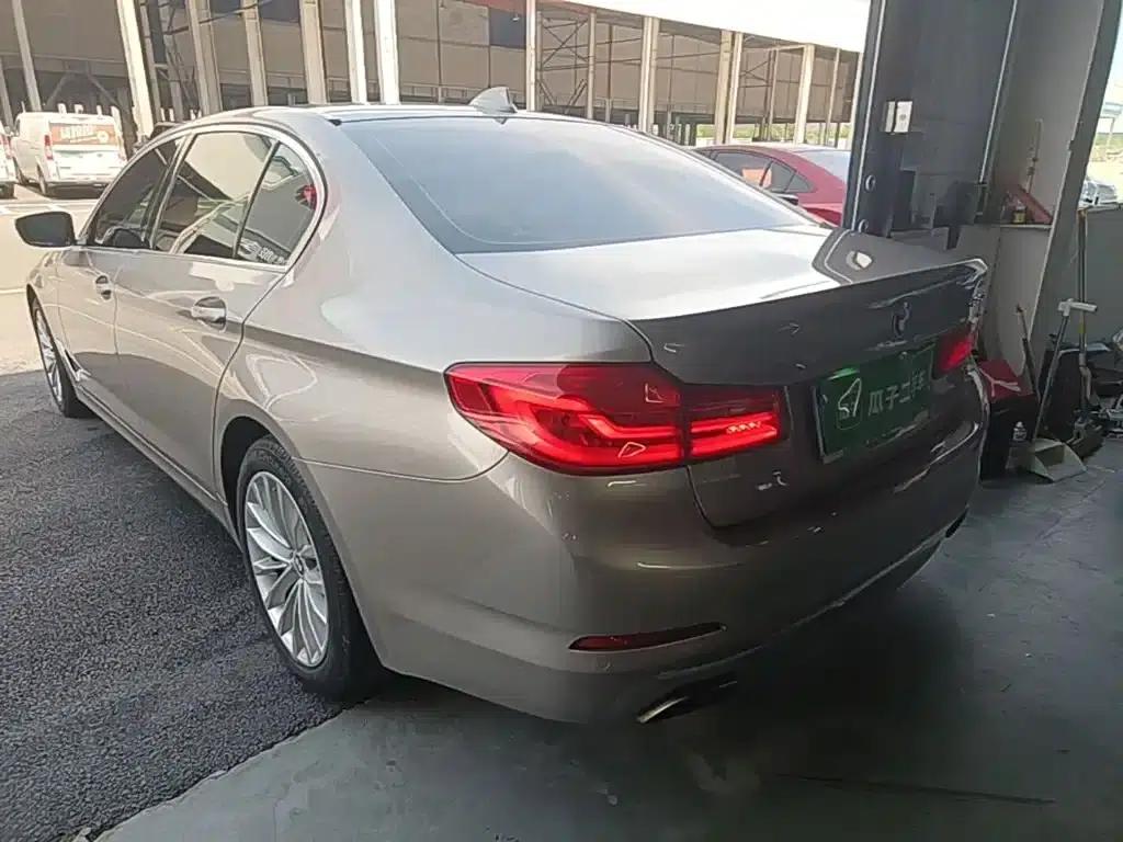 2019 BMW 5 Series 525Li Luxury Package — миниатюра 5