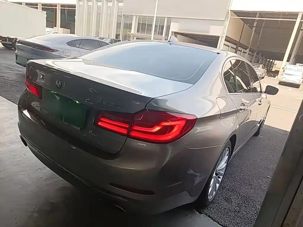 2019 BMW 5 Series 525Li Luxury Package — миниатюра 7