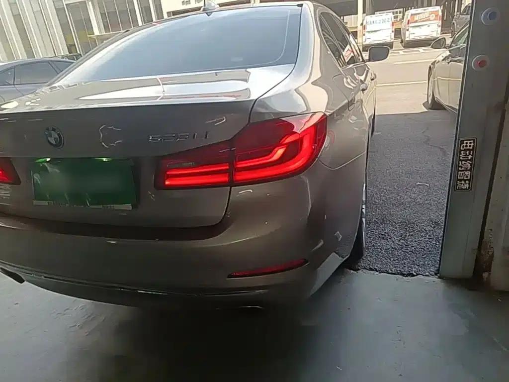 2019 BMW 5 Series 525Li Luxury Package — миниатюра 8