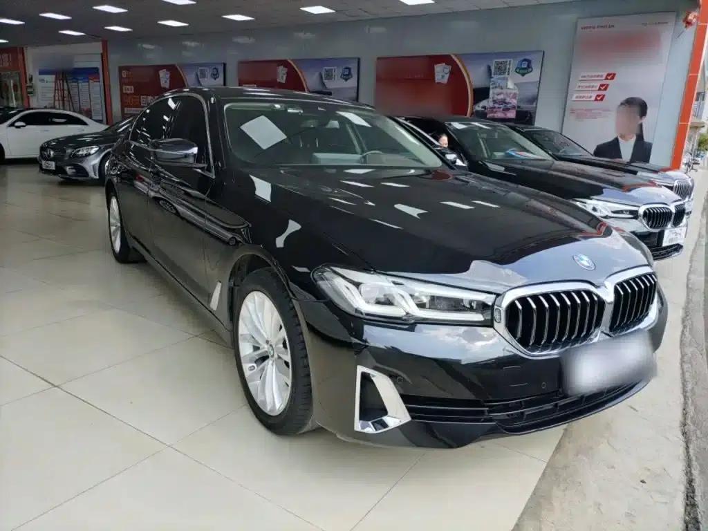2021 BMW 5 Series 525Li Luxury Package — миниатюра 22