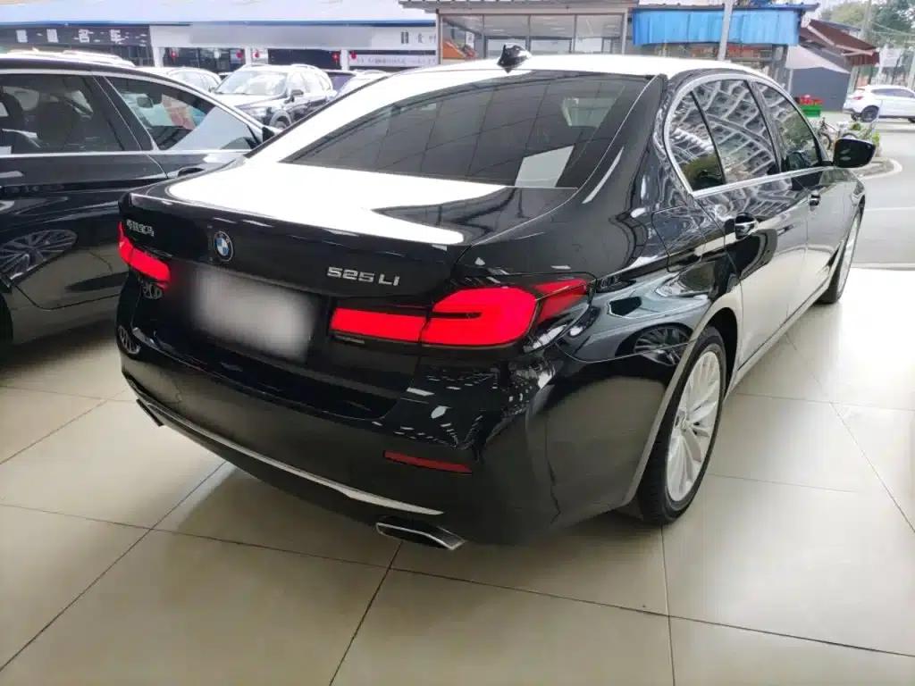 2021 BMW 5 Series 525Li Luxury Package — миниатюра 5