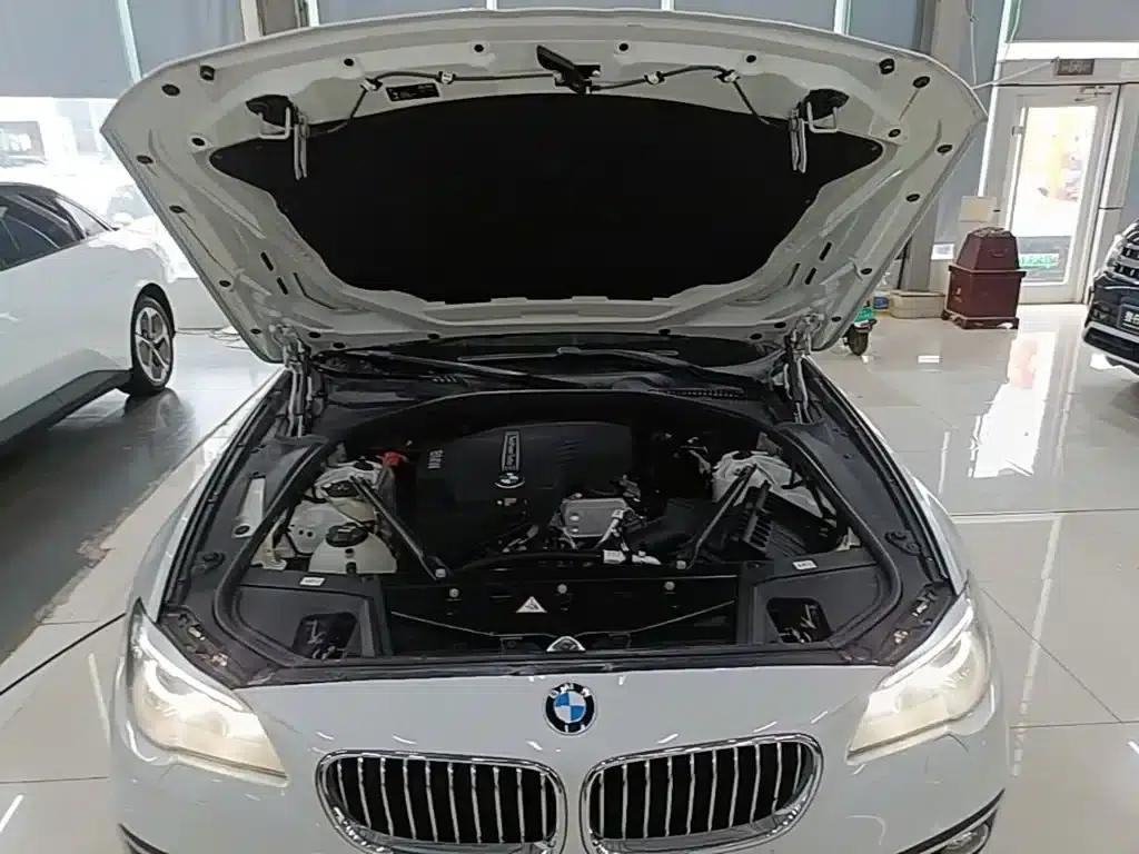 2017 BMW 5 Series 525Li Luxury Design Package — миниатюра 20