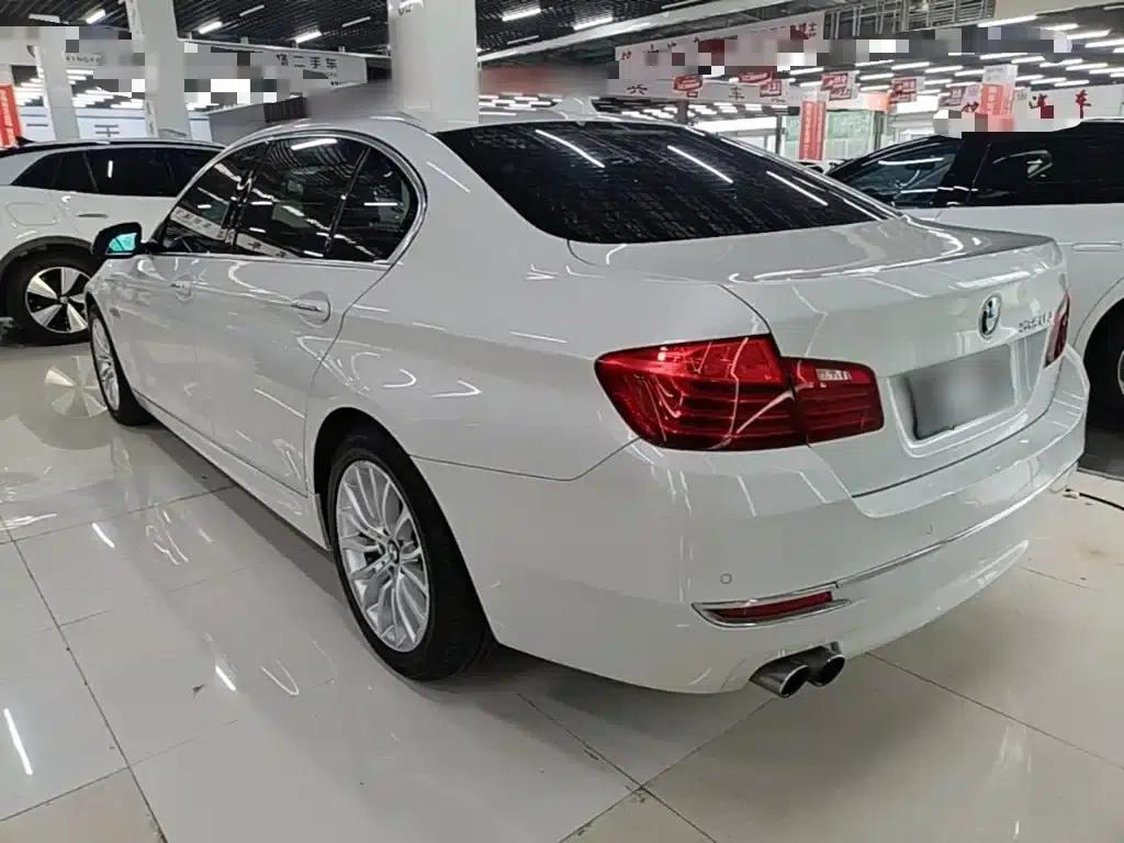 2017 BMW 5 Series 525Li Luxury Design Package — миниатюра 5