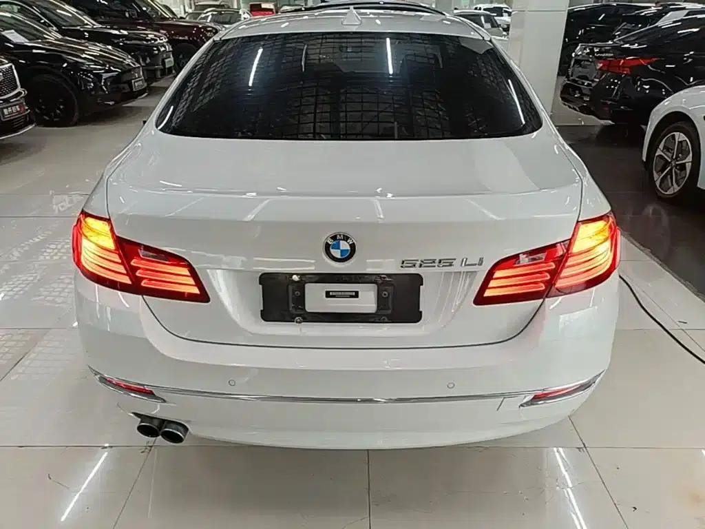 2017 BMW 5 Series 525Li Luxury Design Package — миниатюра 6