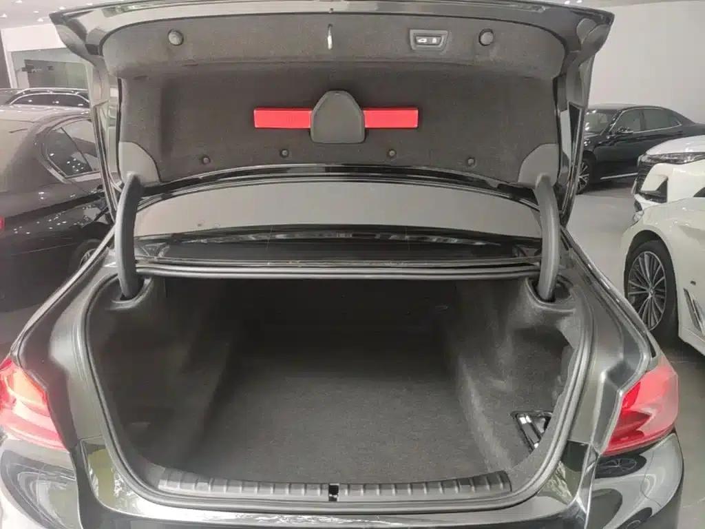 2020 BMW 5 Series 530Li Luxury M Sport Package — миниатюра 19