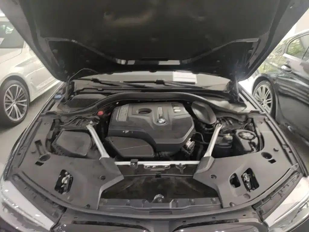 2020 BMW 5 Series 530Li Luxury M Sport Package — миниатюра 20
