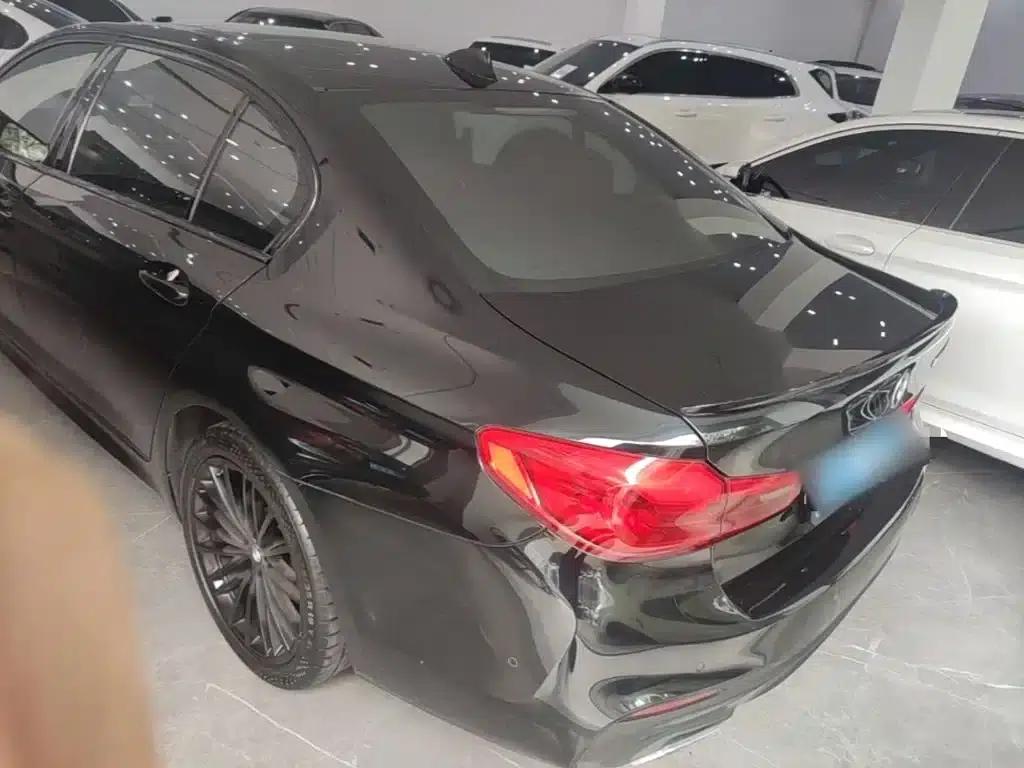 2020 BMW 5 Series 530Li Luxury M Sport Package — миниатюра 5