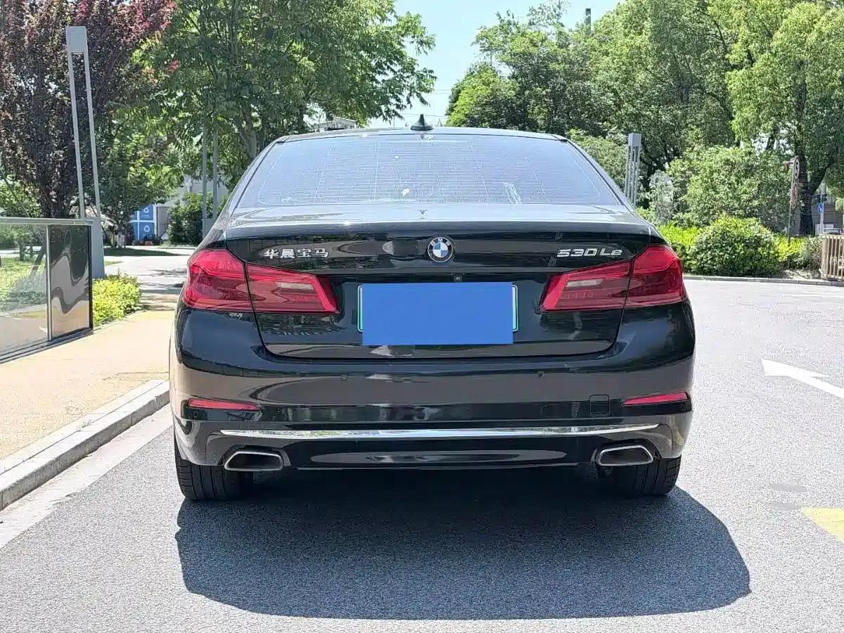 BMW 5 Series PHEV 2020 Mileage Upgrade Edition 530Le Luxury Package — миниатюра 9