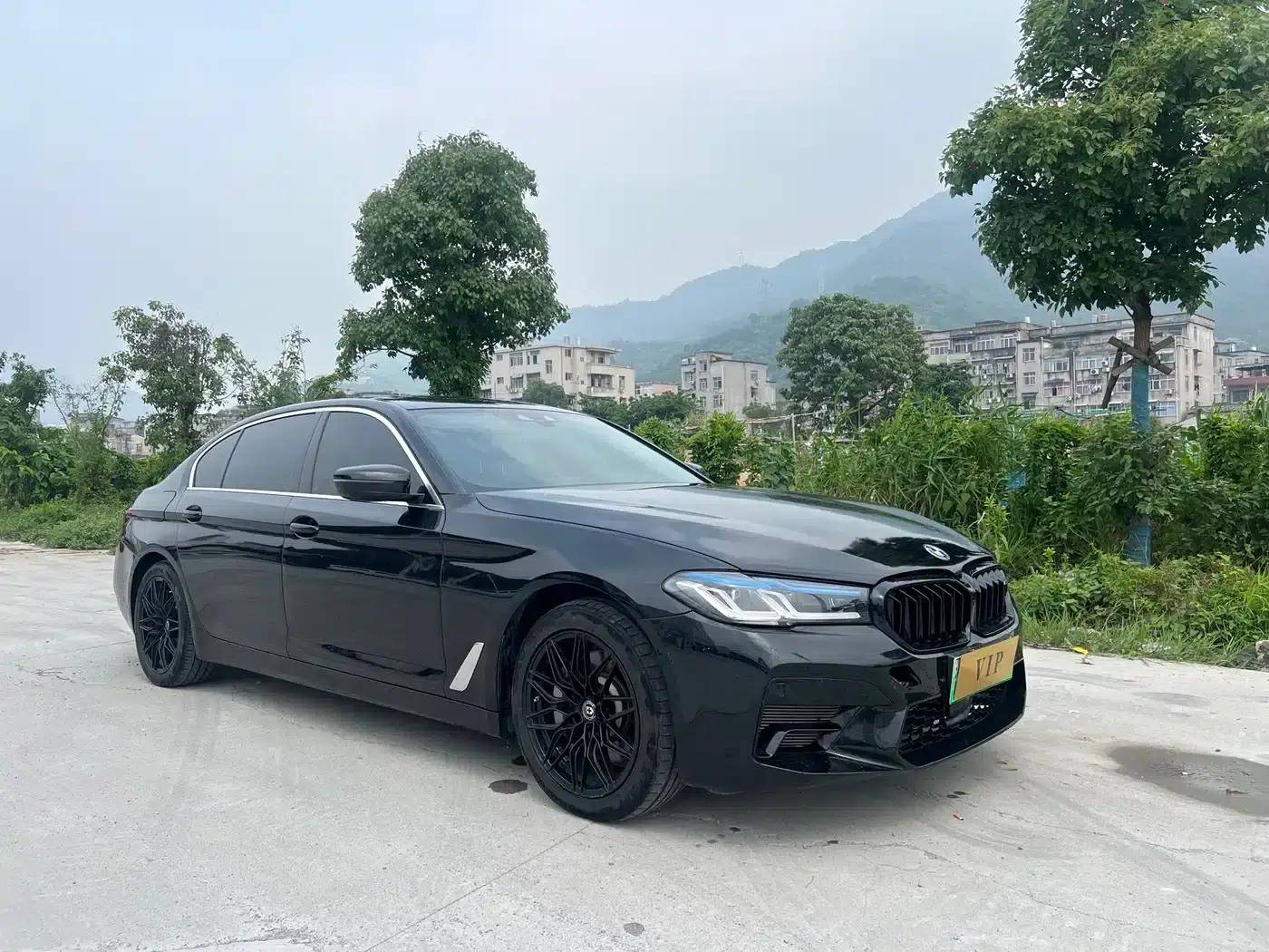 BMW 5 Series PHEV 2020 530Le Luxury Package — миниатюра 3