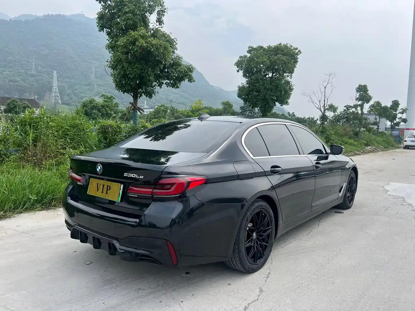 BMW 5 Series PHEV 2020 530Le Luxury Package — миниатюра 7