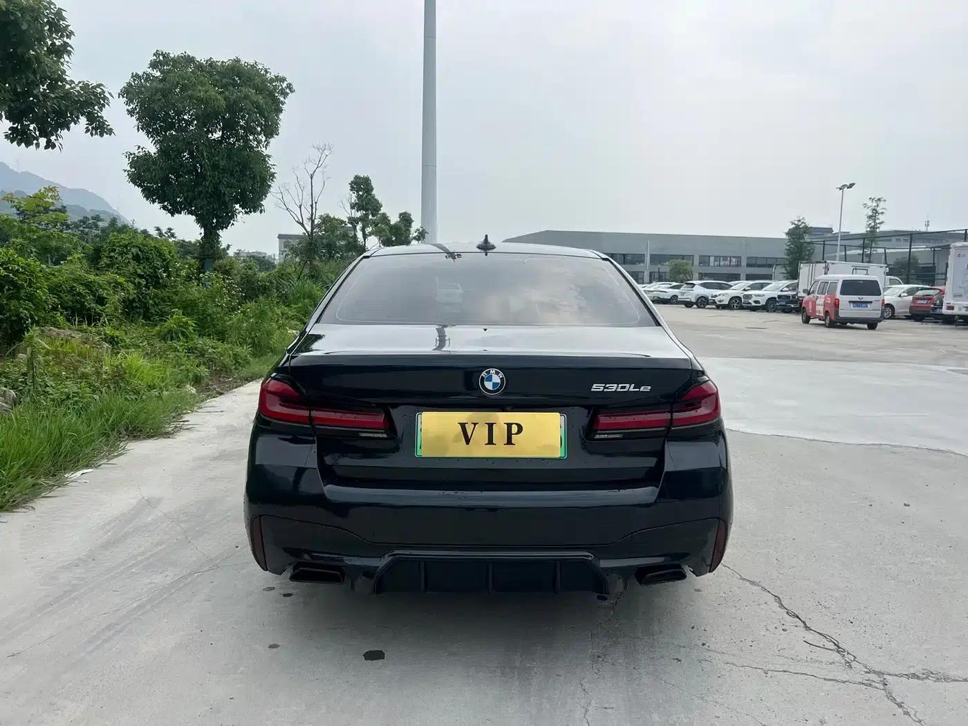 BMW 5 Series PHEV 2020 530Le Luxury Package — миниатюра 8