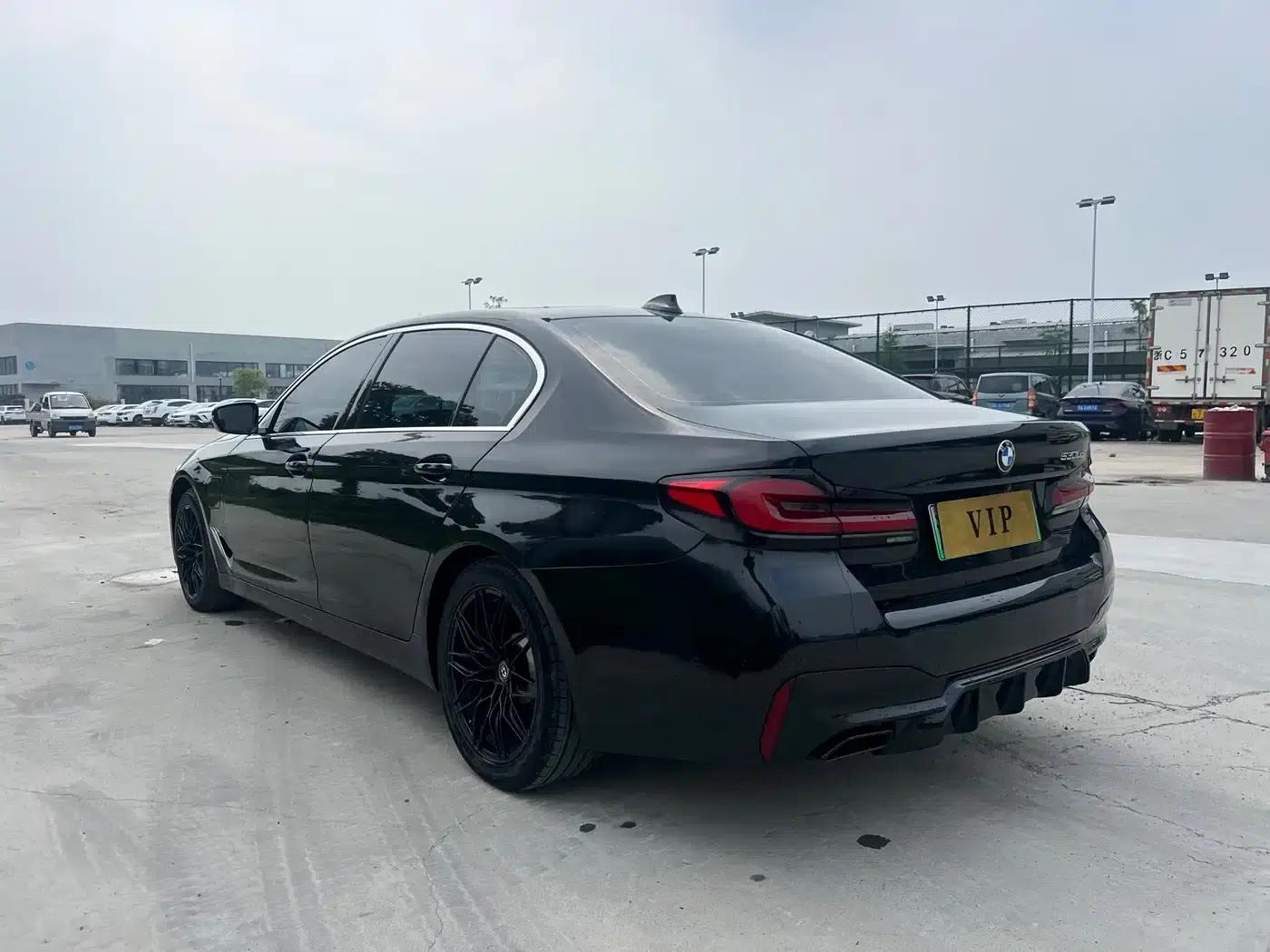 BMW 5 Series PHEV 2020 530Le Luxury Package — миниатюра 9