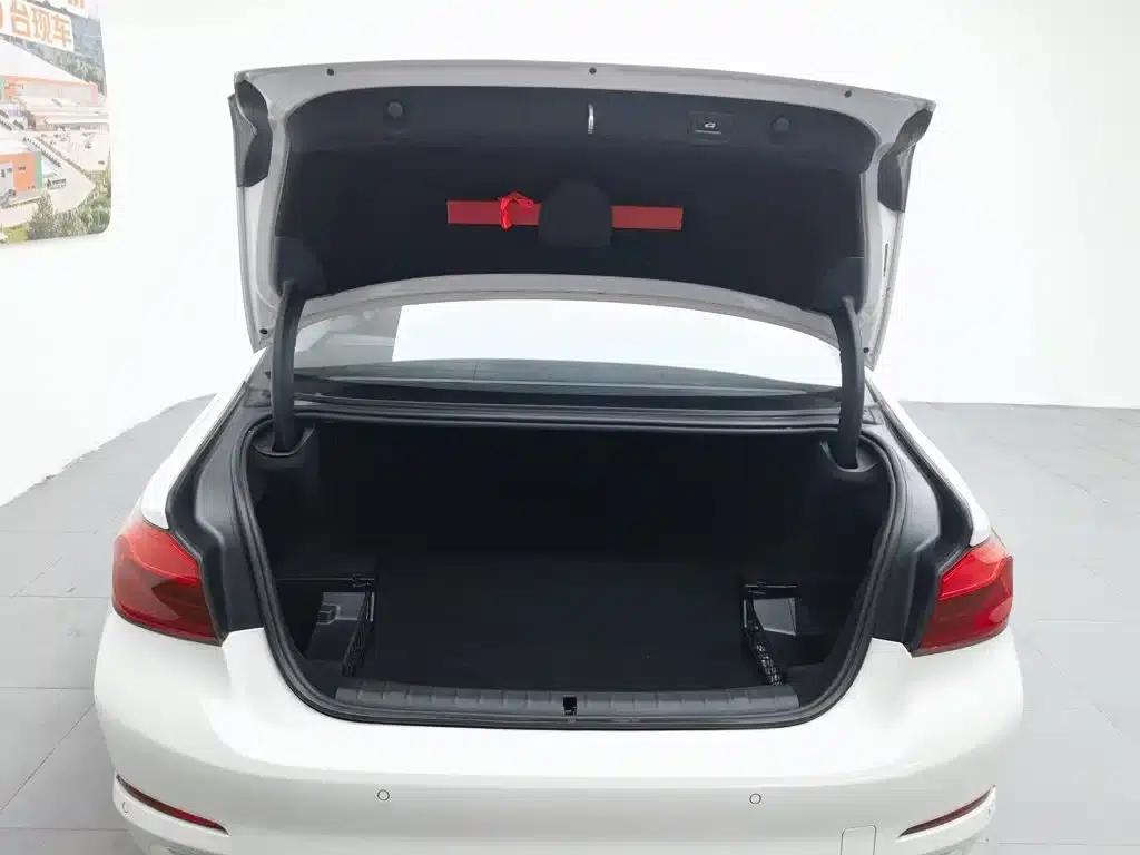 BMW 5 Series PHEV 2020 Mileage Upgrade Edition 530Le Pioneer Edition — миниатюра 16