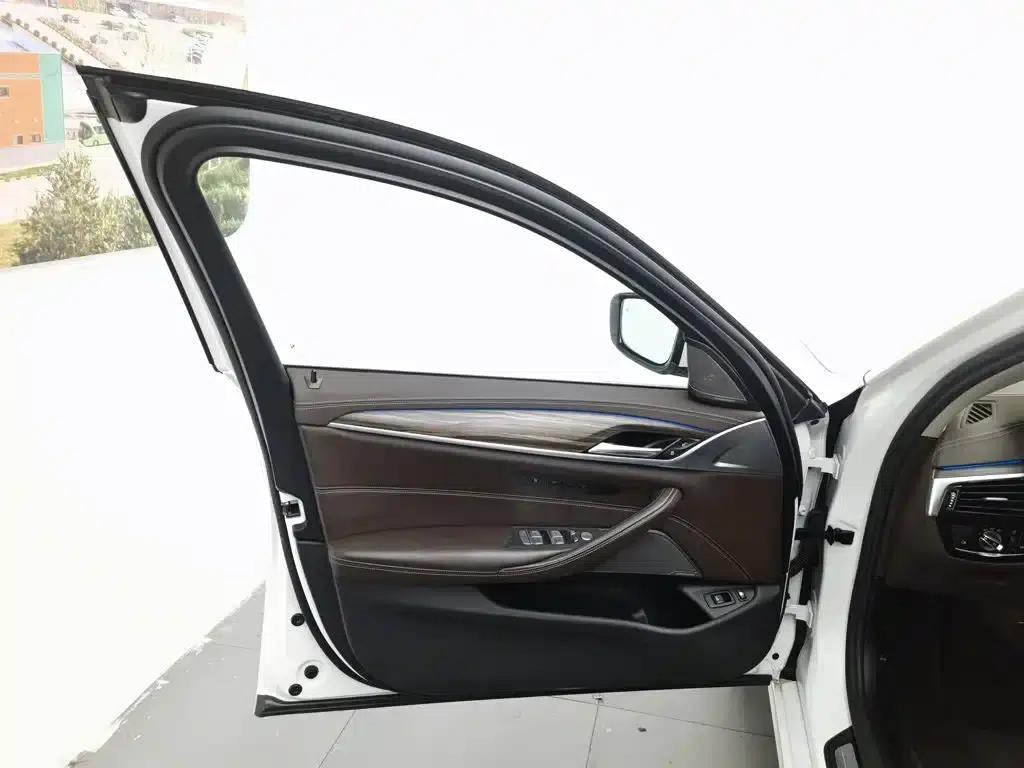 BMW 5 Series PHEV 2020 Mileage Upgrade Edition 530Le Pioneer Edition — миниатюра 8