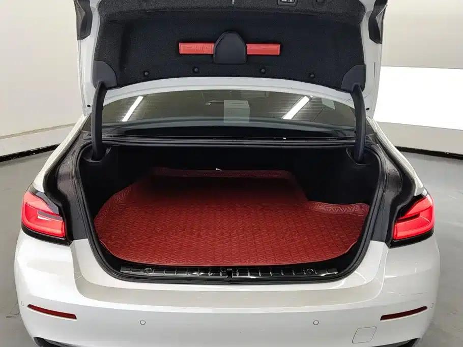 BMW 5 Series PHEV 2021 Facelift 535Le Luxury Package — миниатюра 4