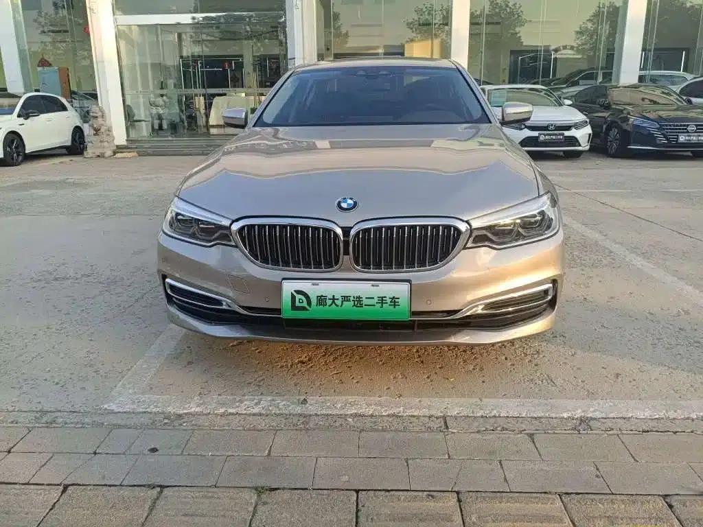 BMW 5 Series PHEV 2020 Mileage Upgrade Edition 530Le Luxury Package — миниатюра 2