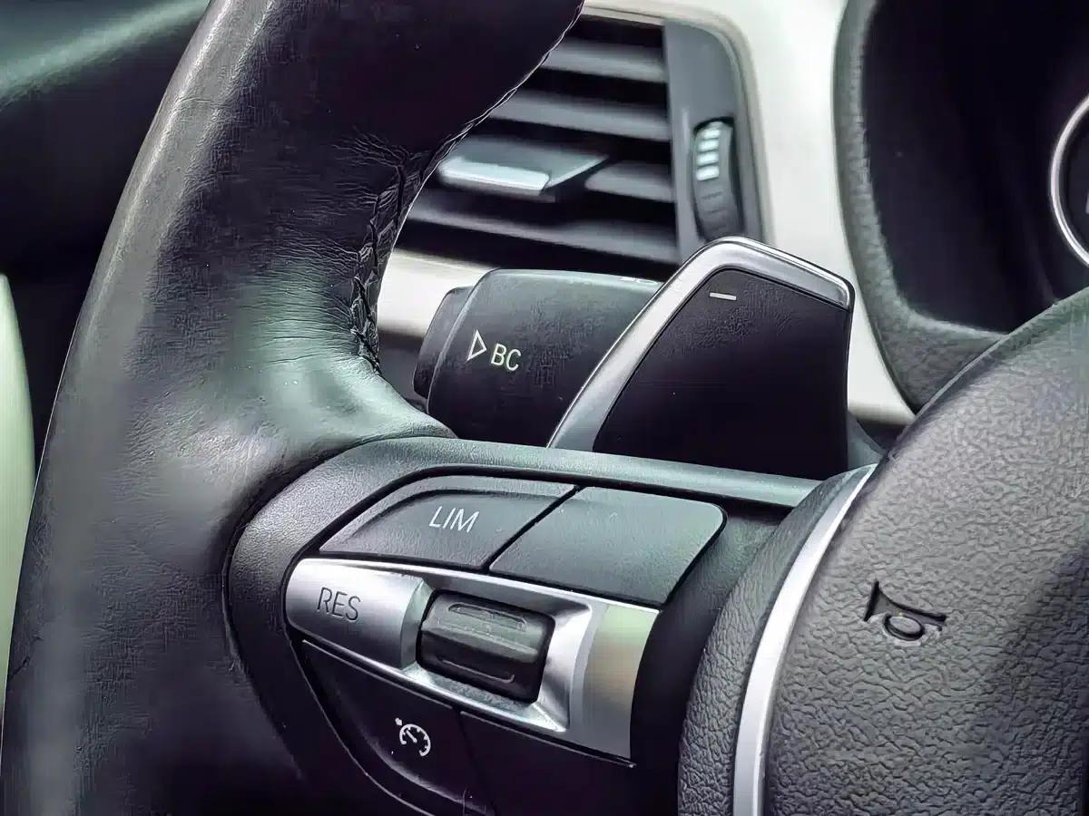 BMW 3 Series 2015 320Li Super Enjoyment Edition Fashion Model — миниатюра 19