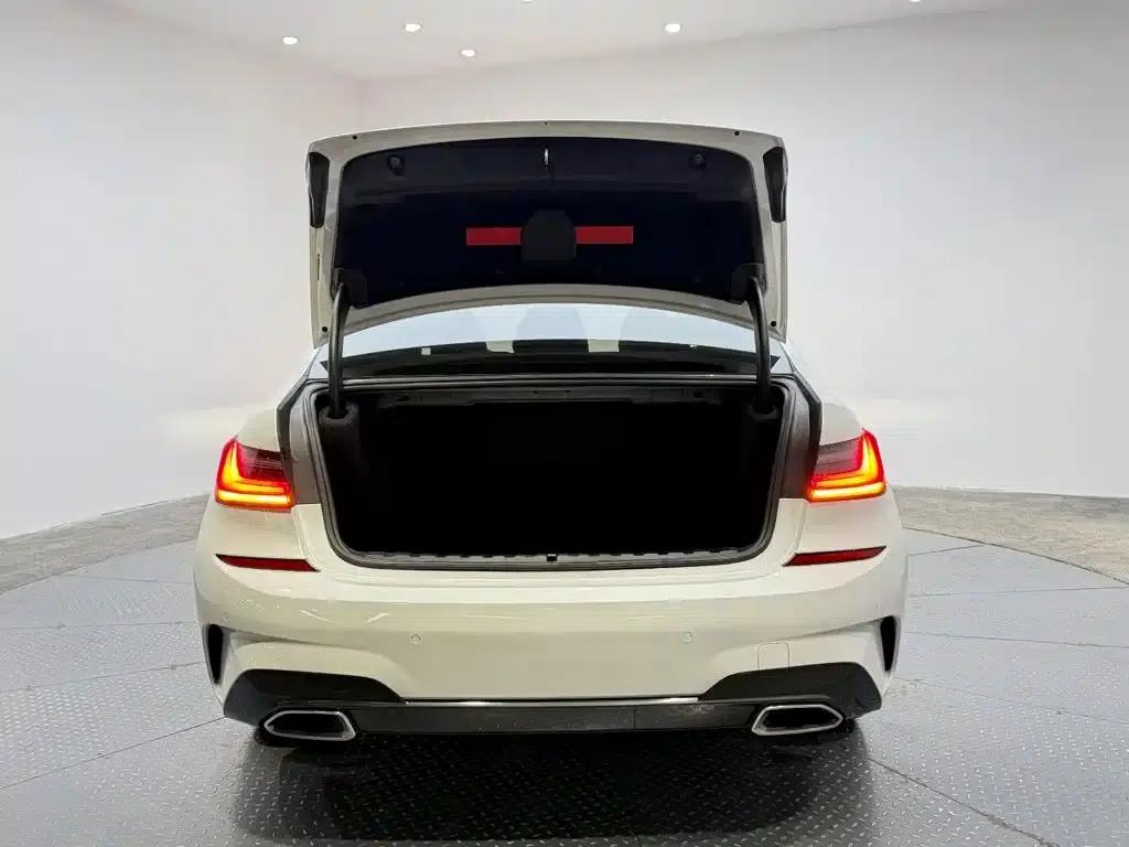 2020 BMW 3 Series 320Li M Sport Package — миниатюра 17