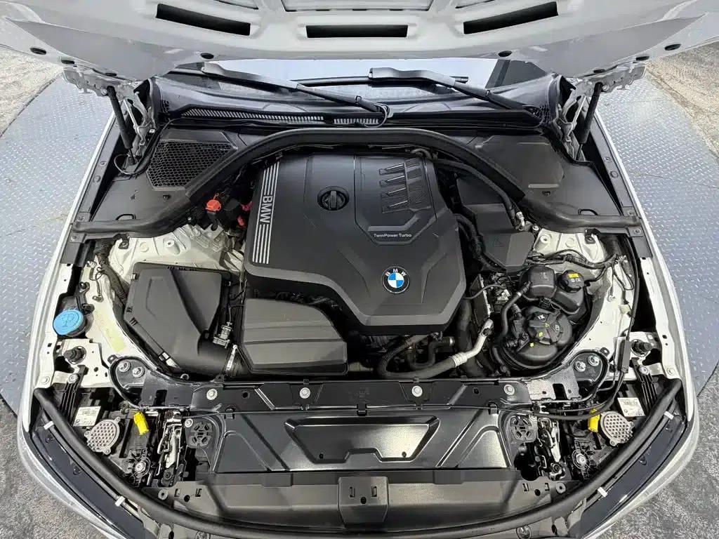 2020 BMW 3 Series 320Li M Sport Package — миниатюра 10