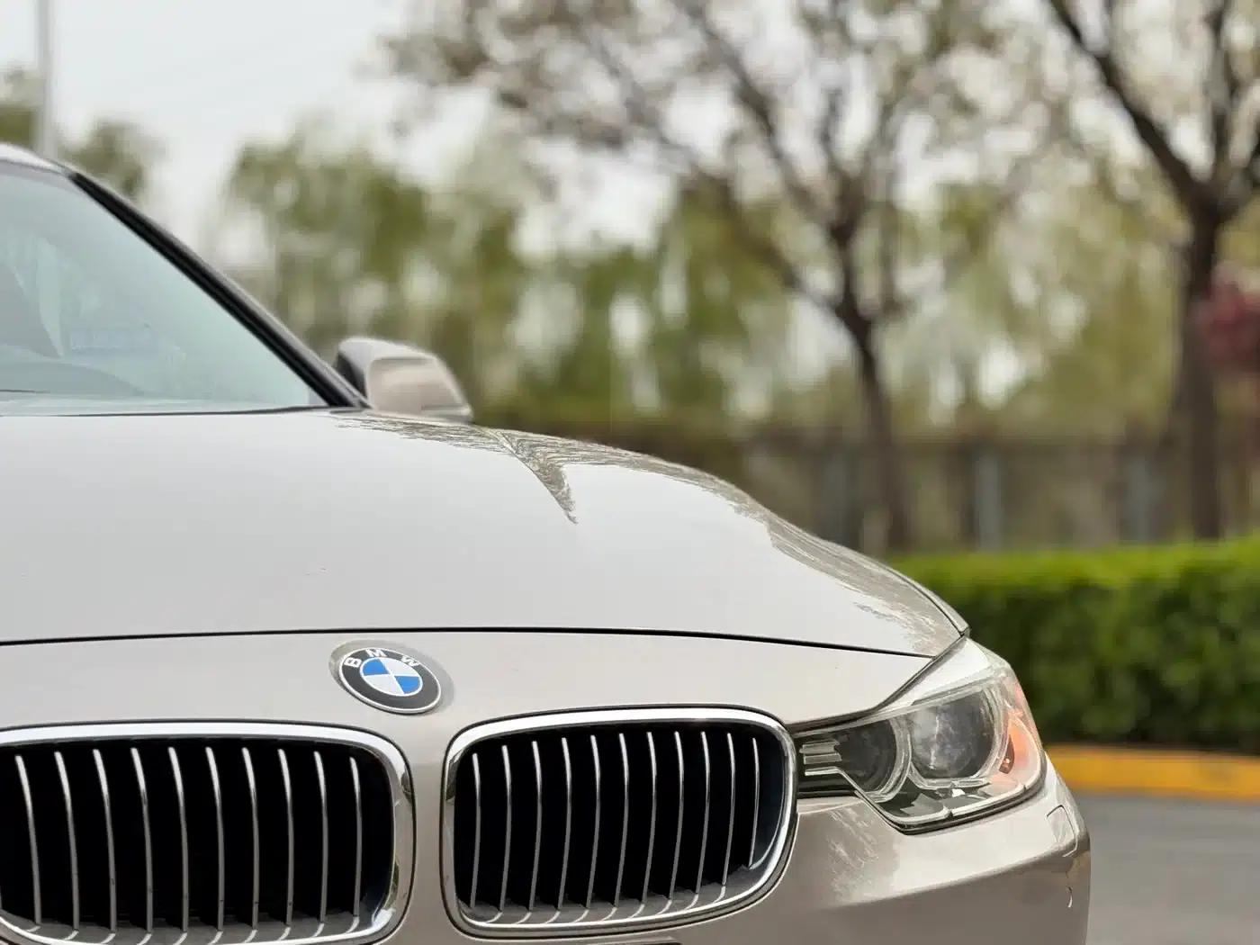 2013 BMW 3 Series 320Li Luxury Design Package — миниатюра 24