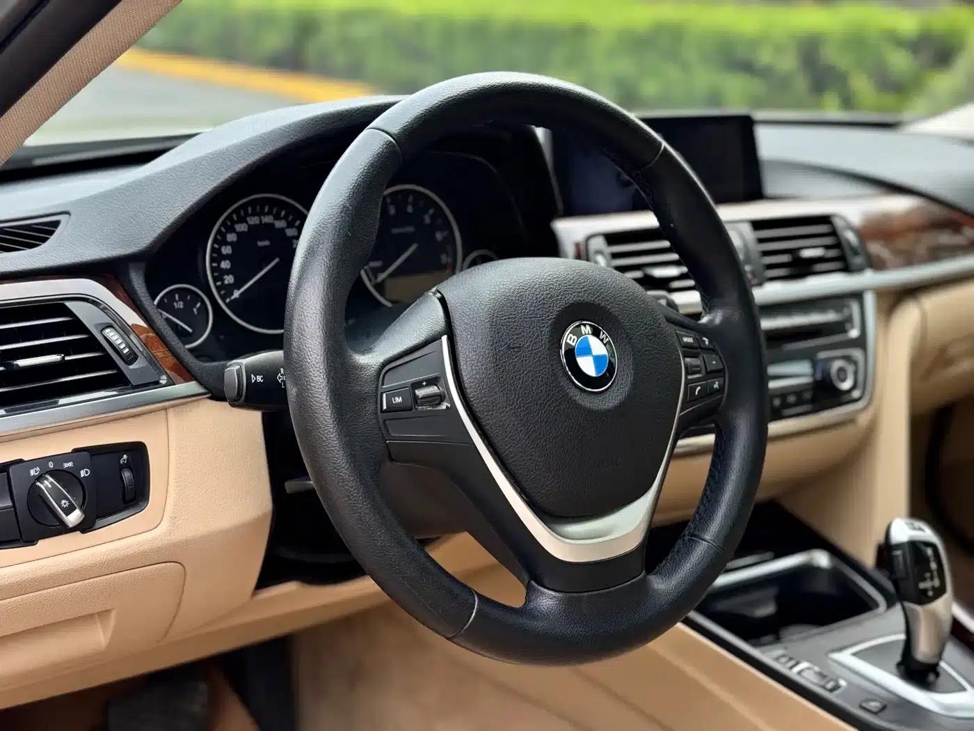 2013 BMW 3 Series 320Li Luxury Design Package — миниатюра 6