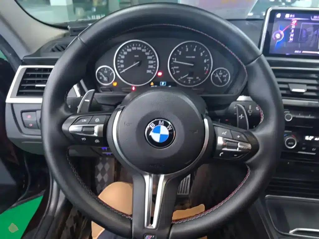 2016 BMW 3 Series 320Li Progressive — миниатюра 11