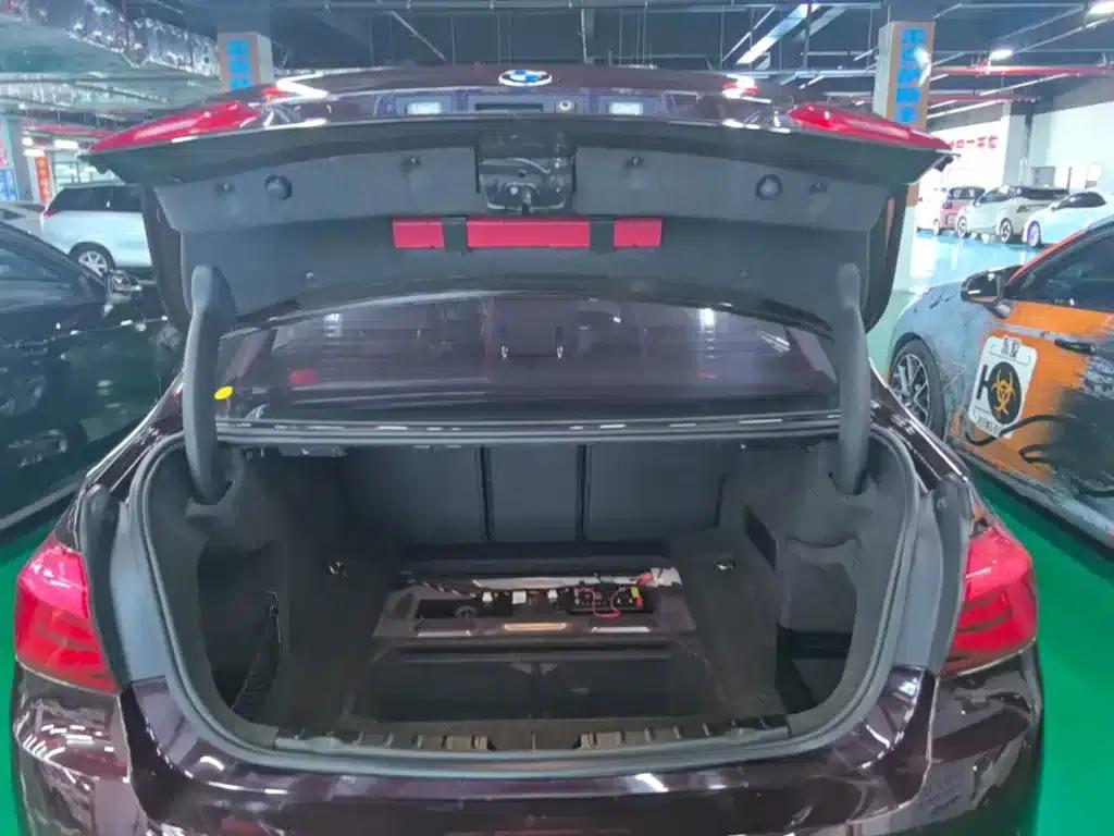 2016 BMW 3 Series 320Li Progressive — миниатюра 19