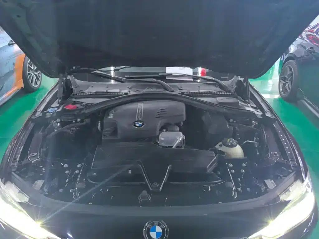 2016 BMW 3 Series 320Li Progressive — миниатюра 20