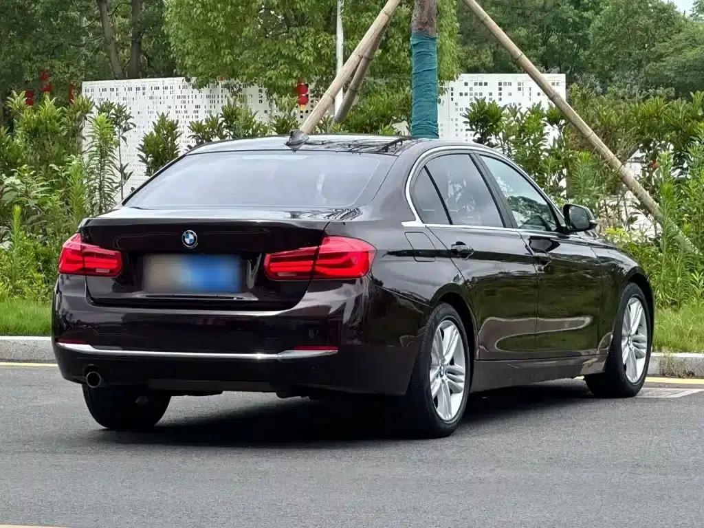 2016 BMW 3 Series 320Li Progressive — миниатюра 7