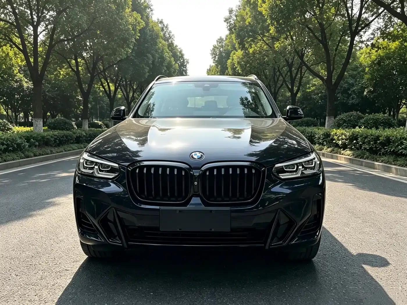 BMW X3 2022 xDrive30i Leading Edition M Sport Package — миниатюра 2