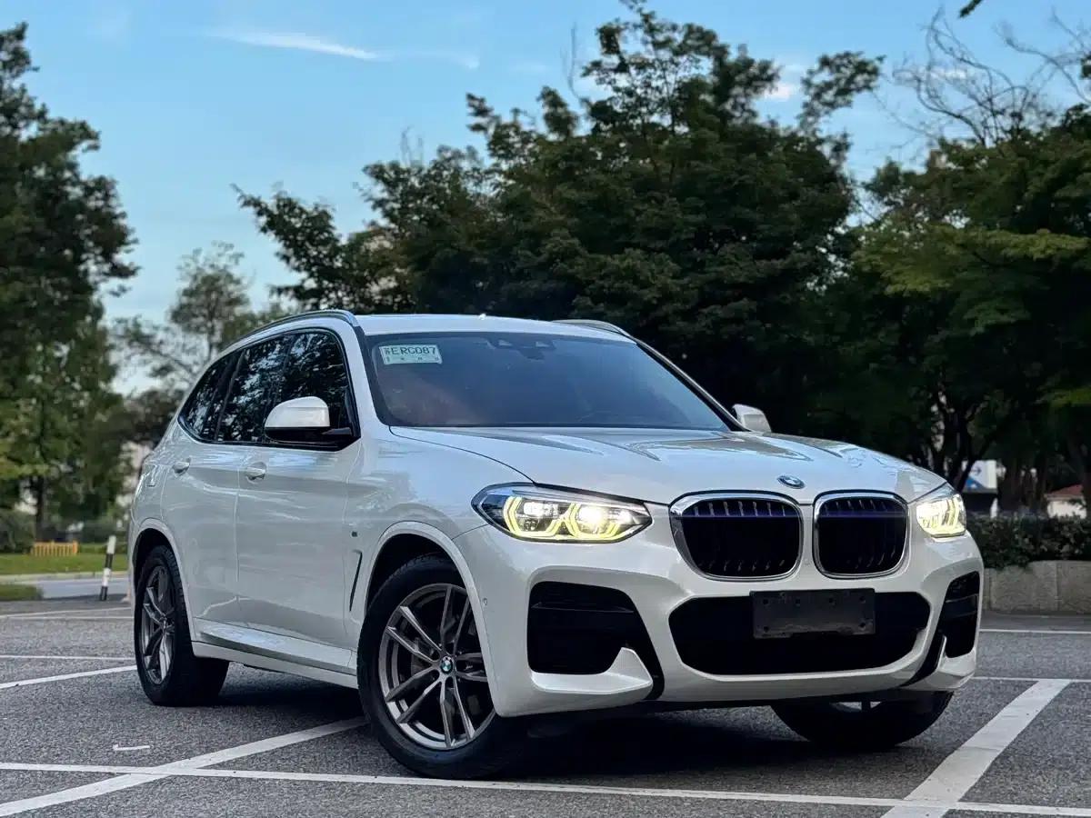 BMW X3 2019 xDrive25i M Sport Package — миниатюра 1