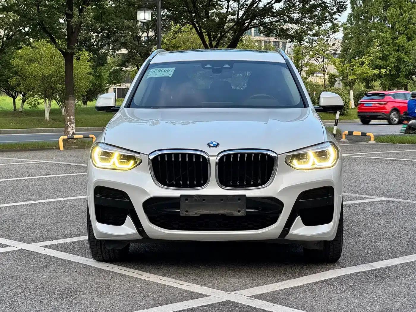 BMW X3 2019 xDrive25i M Sport Package — миниатюра 2