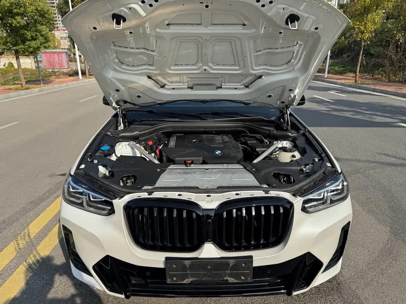 BMW X3 2022 xDrive30i Leading Edition M Sport Package — миниатюра 15