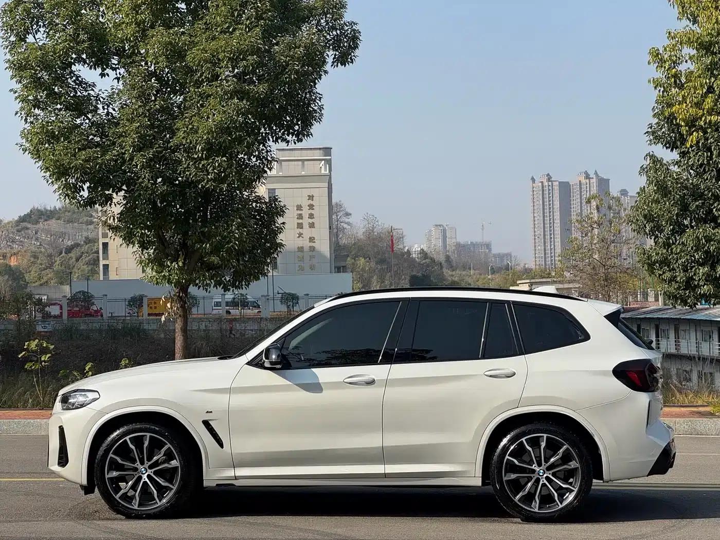 BMW X3 2022 xDrive30i Leading Edition M Sport Package — миниатюра 10