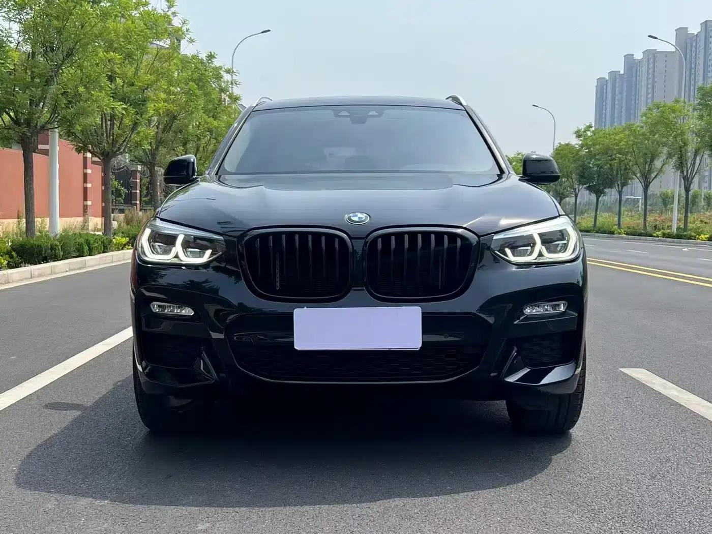 BMW X3 2018 xDrive25i M Sport Package (China VI Emission Standard) — миниатюра 2