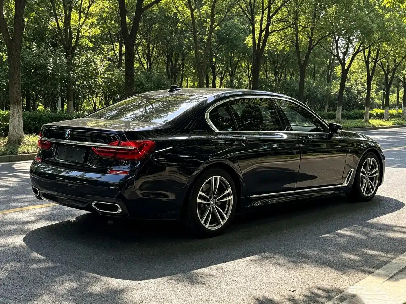2018 BMW 7 Series 730Li Leading Edition M Sport Package — миниатюра 13
