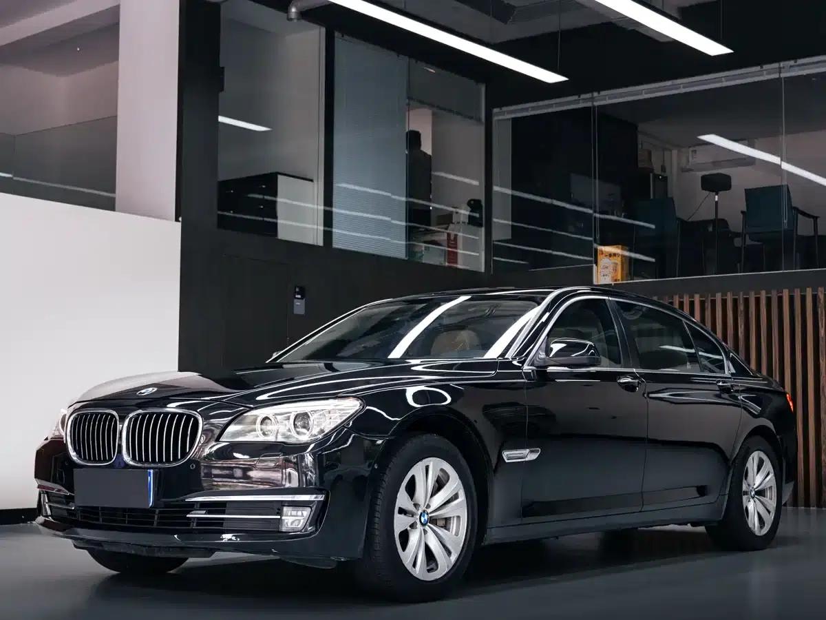 BMW 7 Series 2009 730Li Luxury — миниатюра 1