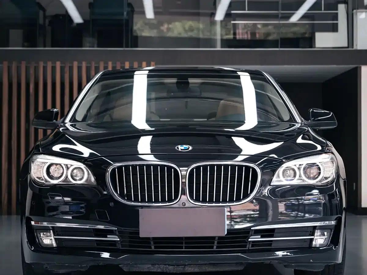 BMW 7 Series 2009 730Li Luxury — миниатюра 2
