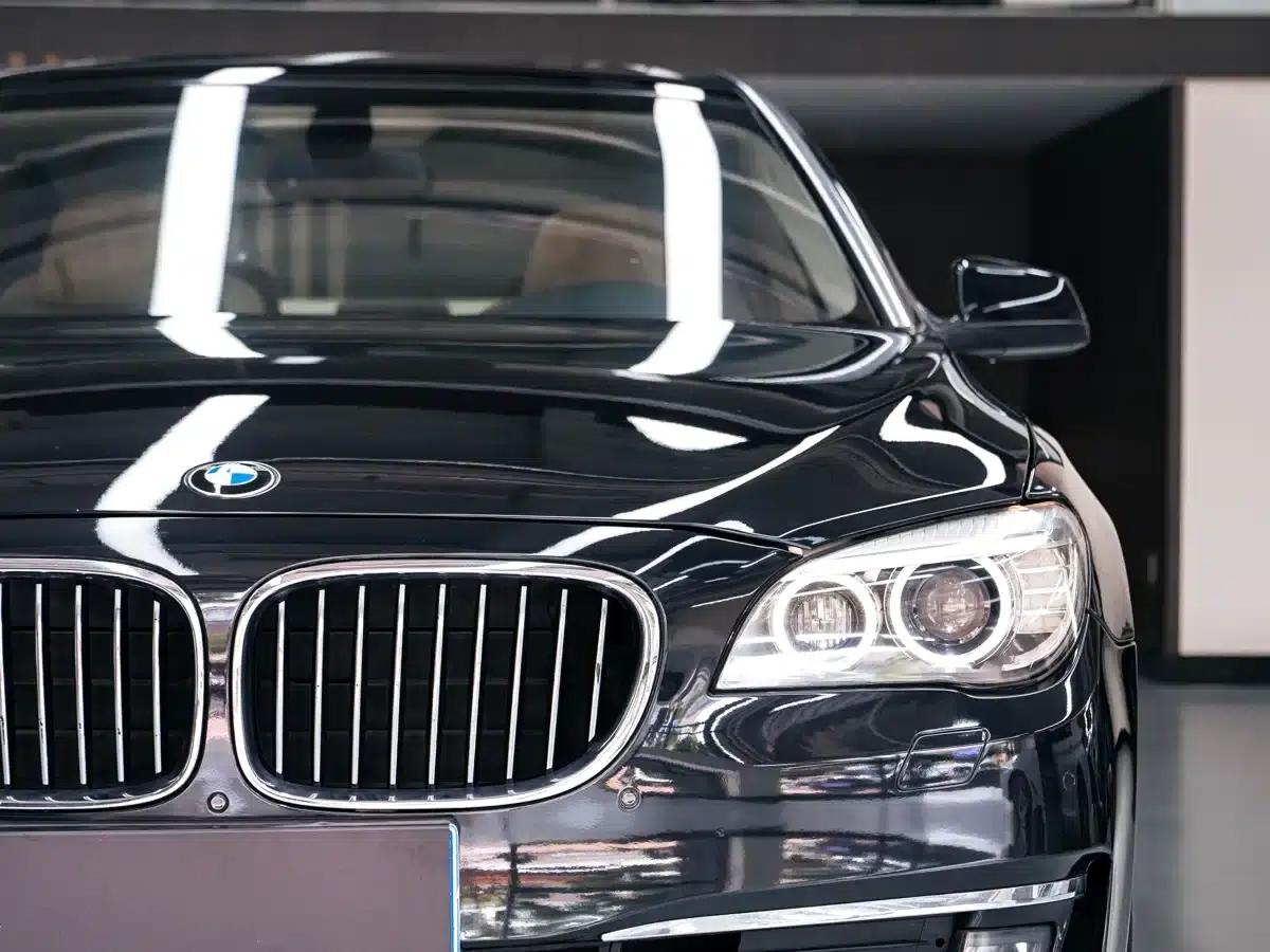 BMW 7 Series 2009 730Li Luxury — миниатюра 5