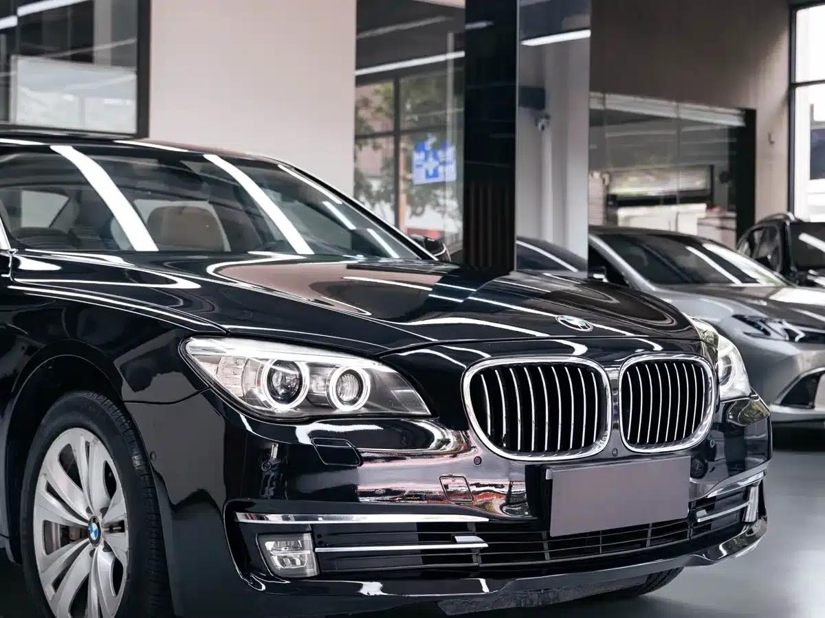 BMW 7 Series 2009 730Li Luxury — миниатюра 7