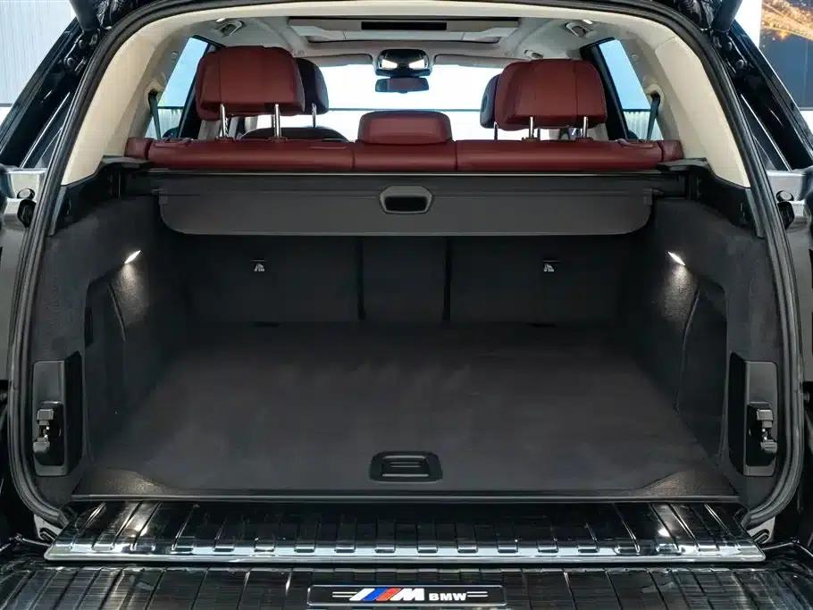 BMW X5 2023 xDrive 30Li Luxury M Sport Package — миниатюра 11