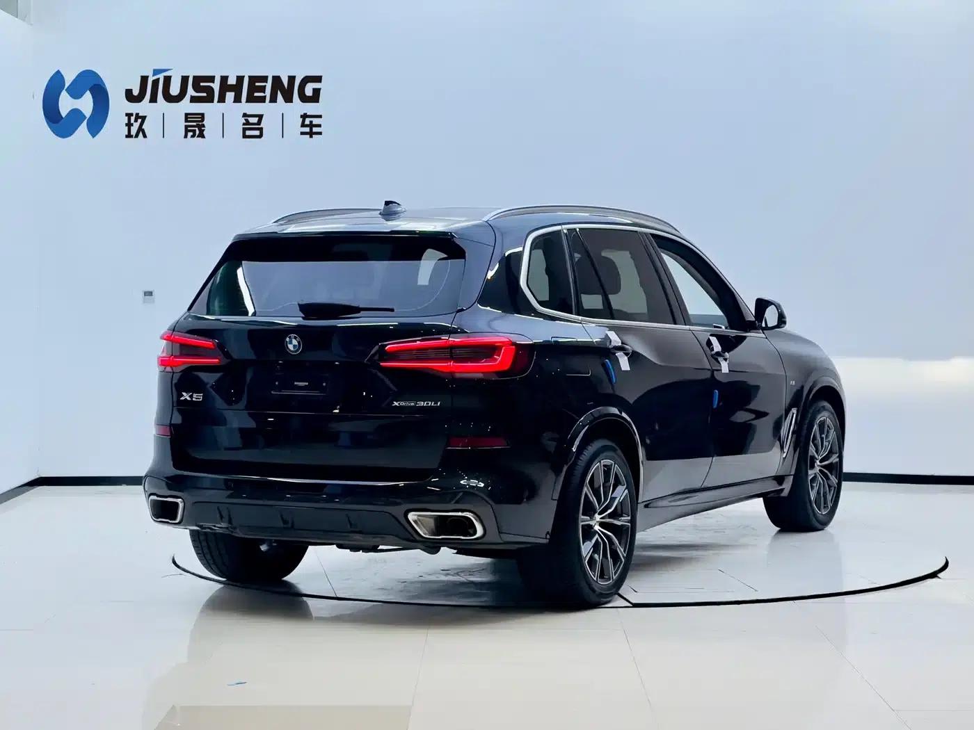 BMW X5 2022 xDrive 30Li Luxury M Sport Package — миниатюра 6