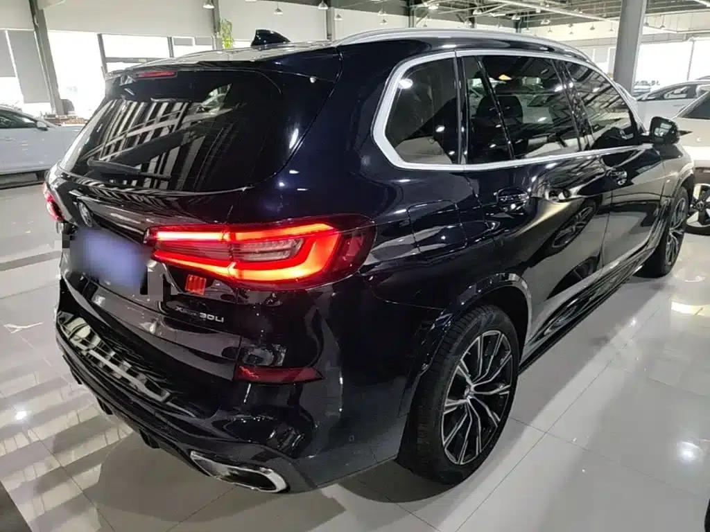 BMW X5 2022 xDrive 30Li Luxury M Sport Package — миниатюра 7
