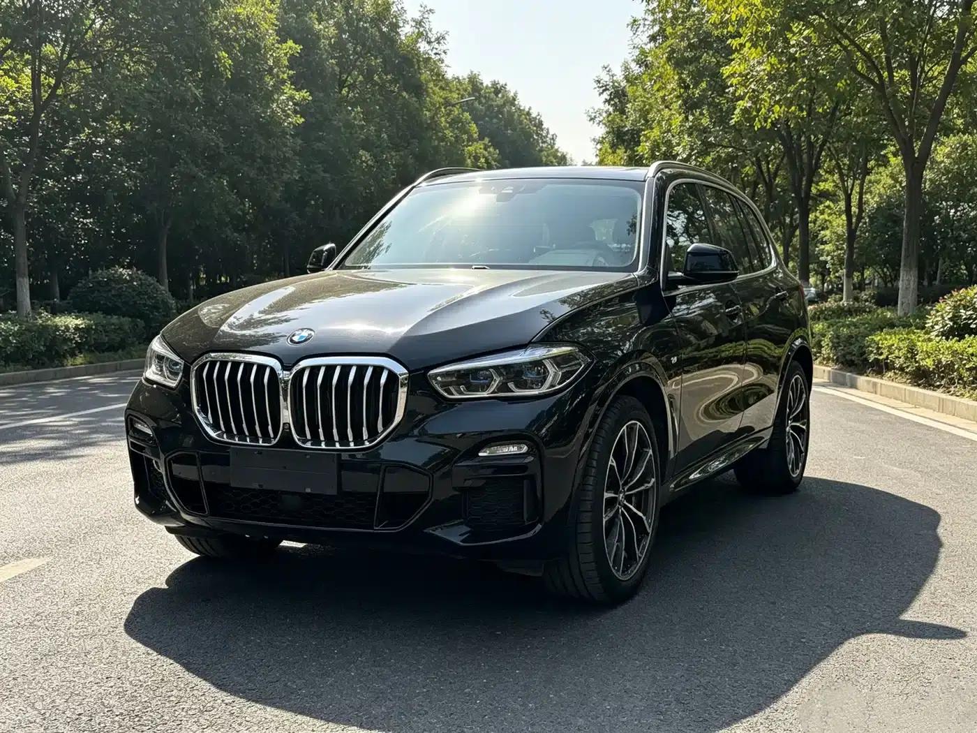 2022 BMW X5 xDrive40i M Sport Package (Imported) — миниатюра 1