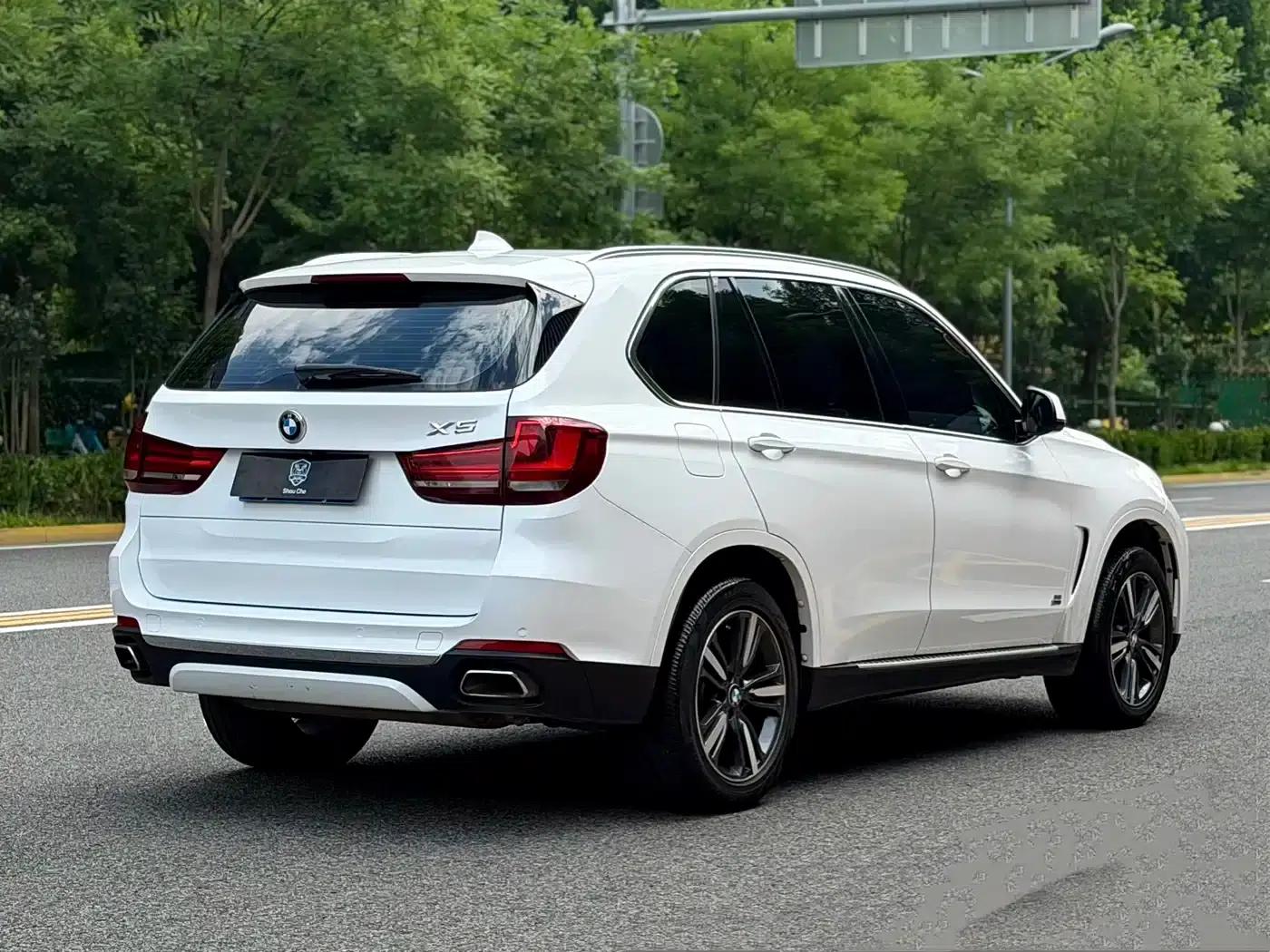 2017 BMW X5 xDrive35i Elegant (Imported) — миниатюра 6
