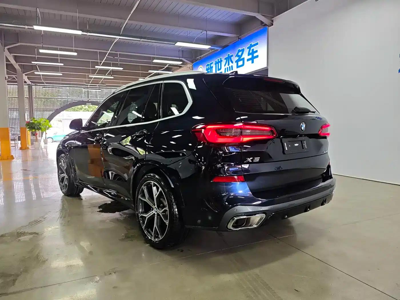 BMW X5 (Imported) 2020 xDrive40i Luxury M Sport Package — миниатюра 13